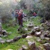 156791_458711556663_218795866663_5303918_2322603_n