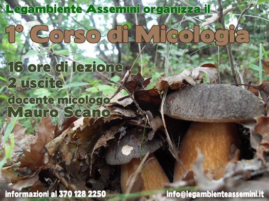 corso micologia